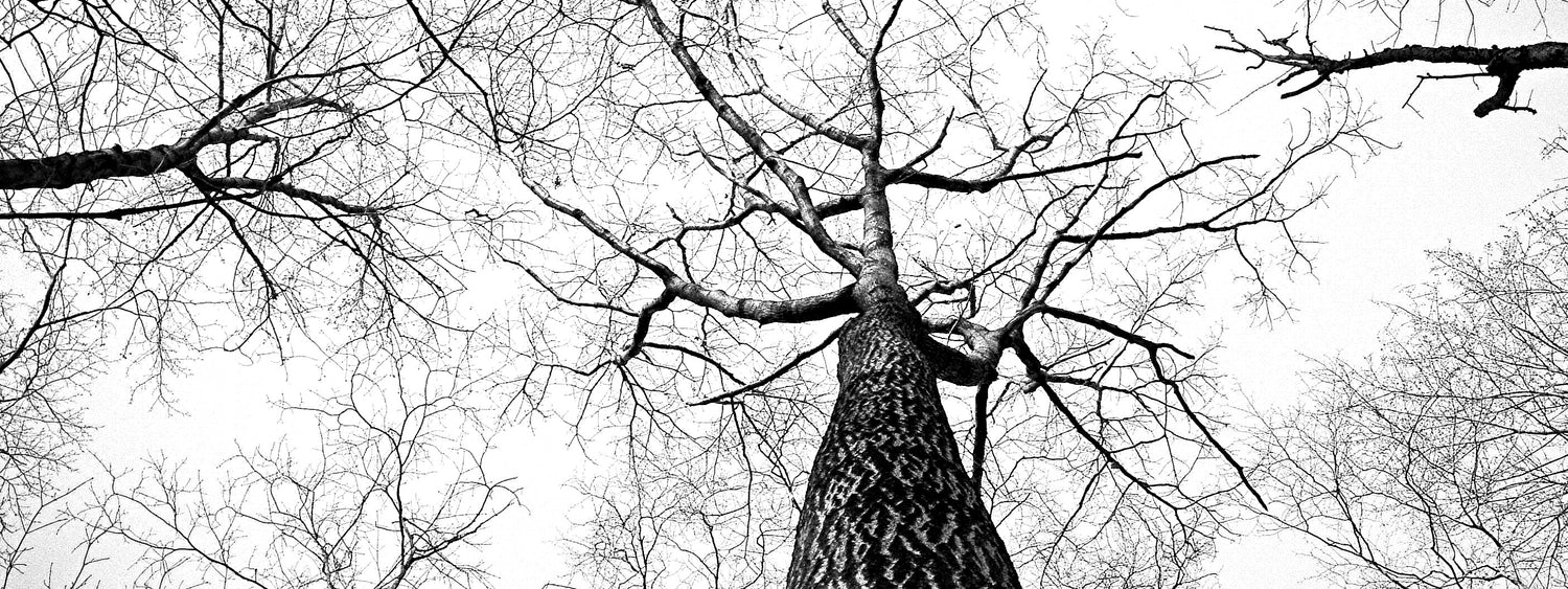 The Long Winter (An Update On W&G)